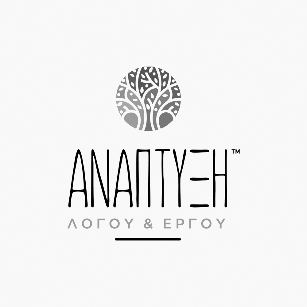 Anaptiksi Icon